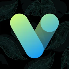 Vera Icon Pack shapeless icon (ВЗЛОМ Полная Версия)