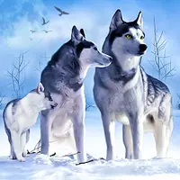 Arctic Wolf Sim 3D [ВЗЛОМ Много денег] v 1.1