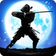 Street Shadow Fighting Champion [ВЗЛОМ: Много денег] v 5.1