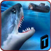 Shark.io v 1.1